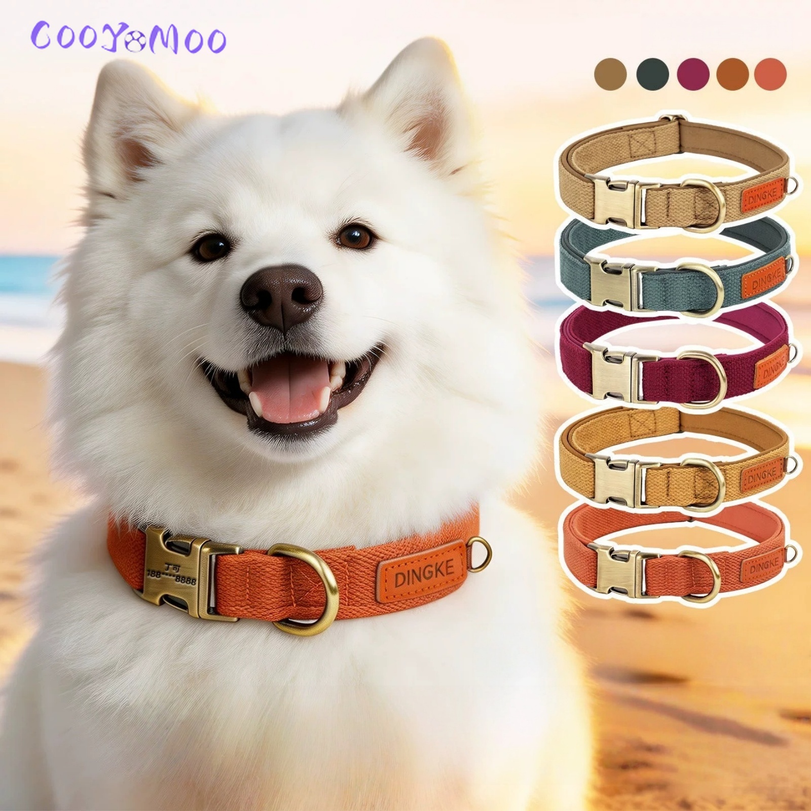Personalized Dog Collar Leash  - Leather Strap Quick Release review and price