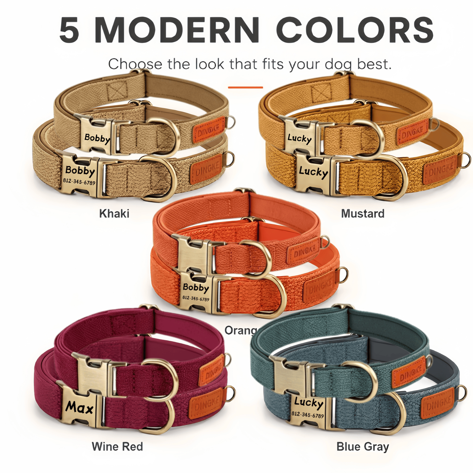 Personalized Dog Collar Leash  - Leather Strap Quick Release review and price