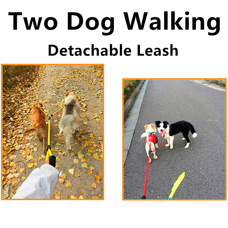 Dog Leash Double Leashes for D - Leather Strap Quick Release review and price