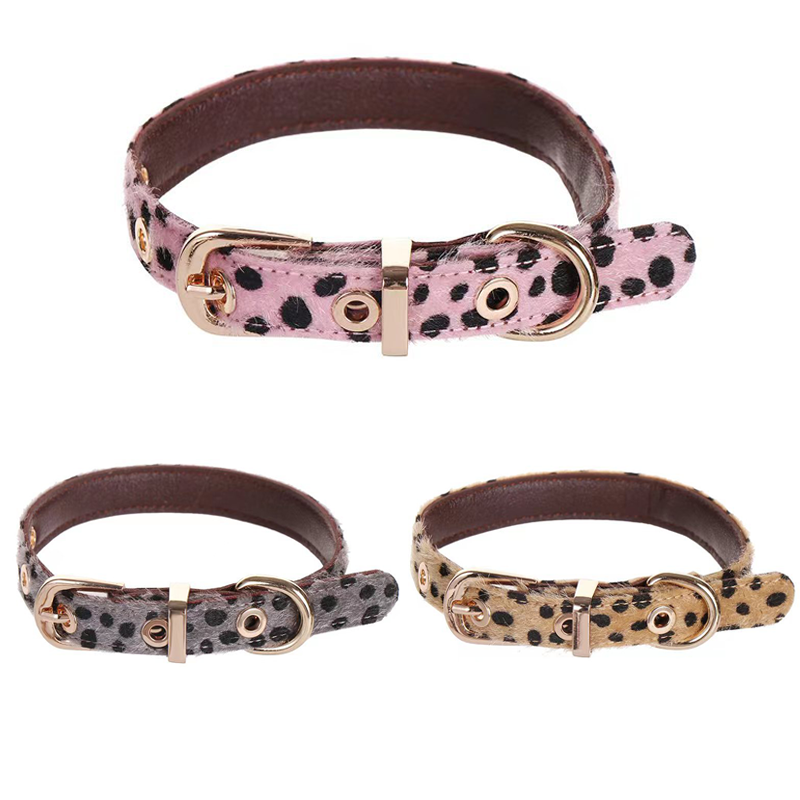 Leopard Pattern Small Dog Coll - Leather Strap Quick Release review and price